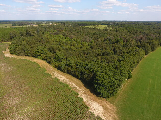 Image for LIVE AUCTION: Thursday, October 13, 2022 - Laurens County, GA