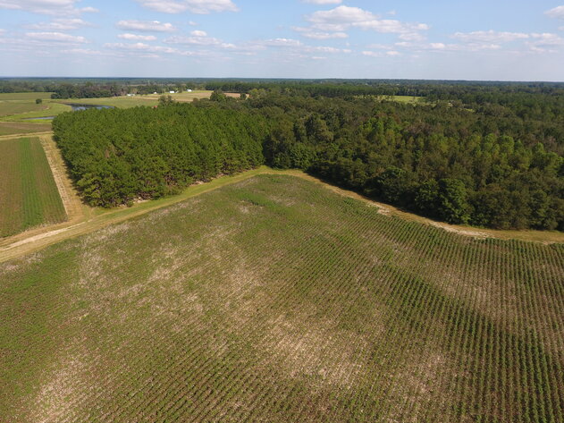 Image for LIVE AUCTION: Thursday, October 13, 2022 - Laurens County, GA