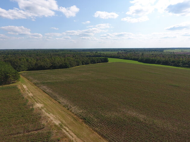 Image for LIVE AUCTION: Thursday, October 13, 2022 - Laurens County, GA