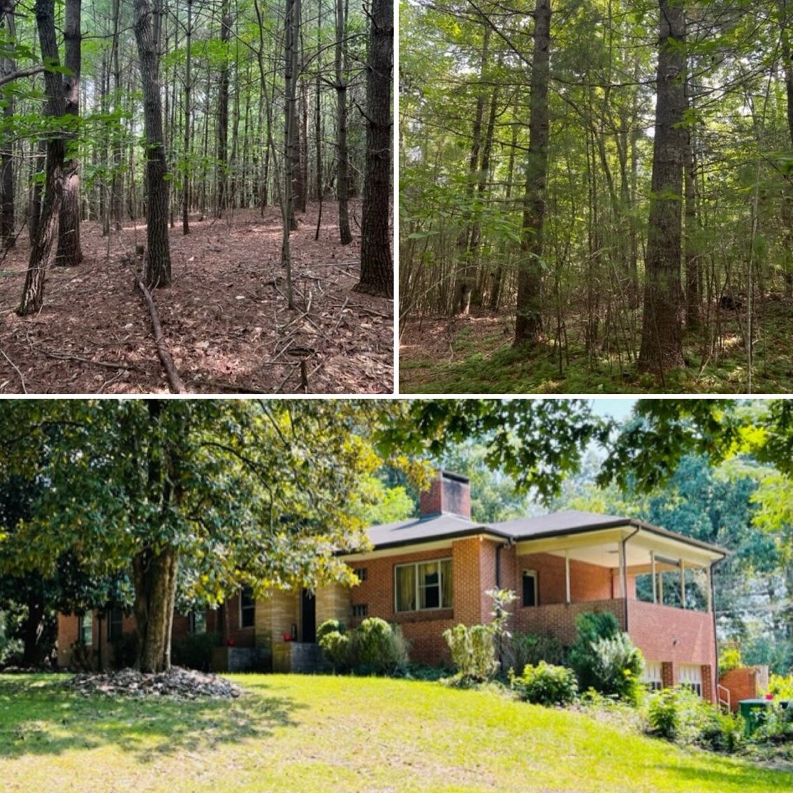 Absolute Real Estate Auctions 3 Properties in Mount Airy, NC
