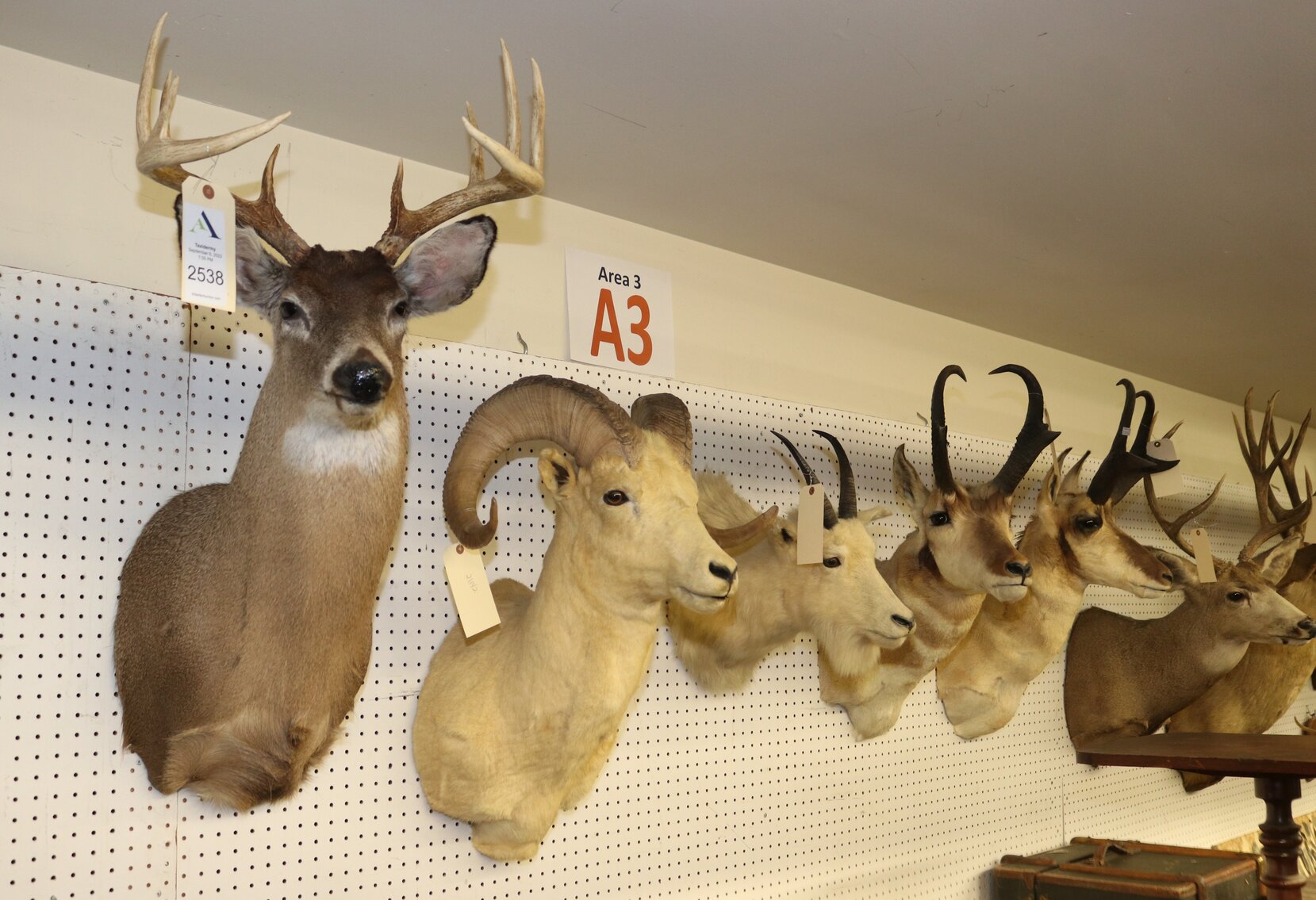 Image for Military, Reloading Equipment, Taxidermy, Sporting Goods and Accessories | October 4, 2022 at 7:00 PM