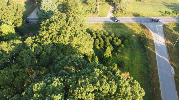 Image for 16+/- Acres Just off Lake Lanier