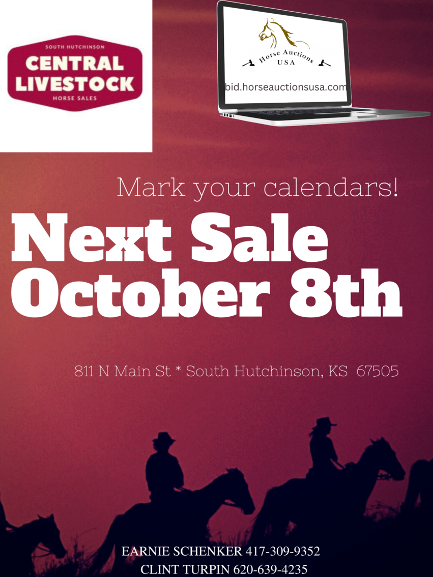 Image for Central Livestock Horse Sale - October 8th - South Hutchinson, Kansas