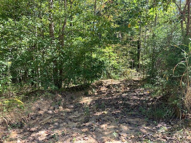 Image for Wooded Lots - 5.7 miles to Hwy 46 - 3 Lots / 2.6 acres