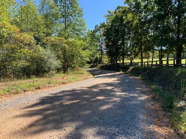 Image for Wooded Lots - 5.7 miles to Hwy 46 - 3 Lots / 2.6 acres