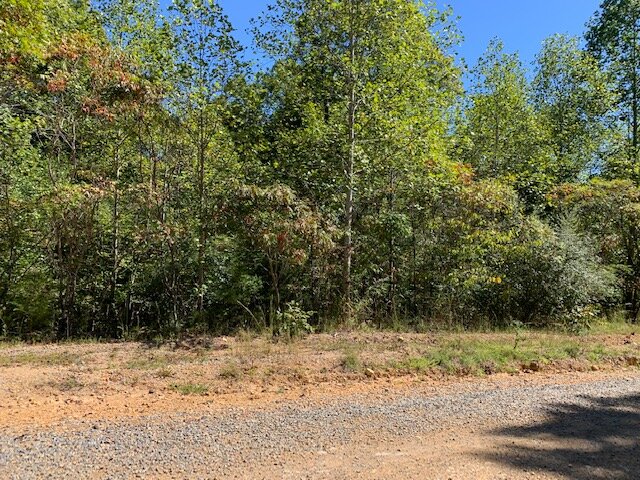 Image for Wooded Lots - 5.7 miles to Hwy 46 - 3 Lots / 2.6 acres