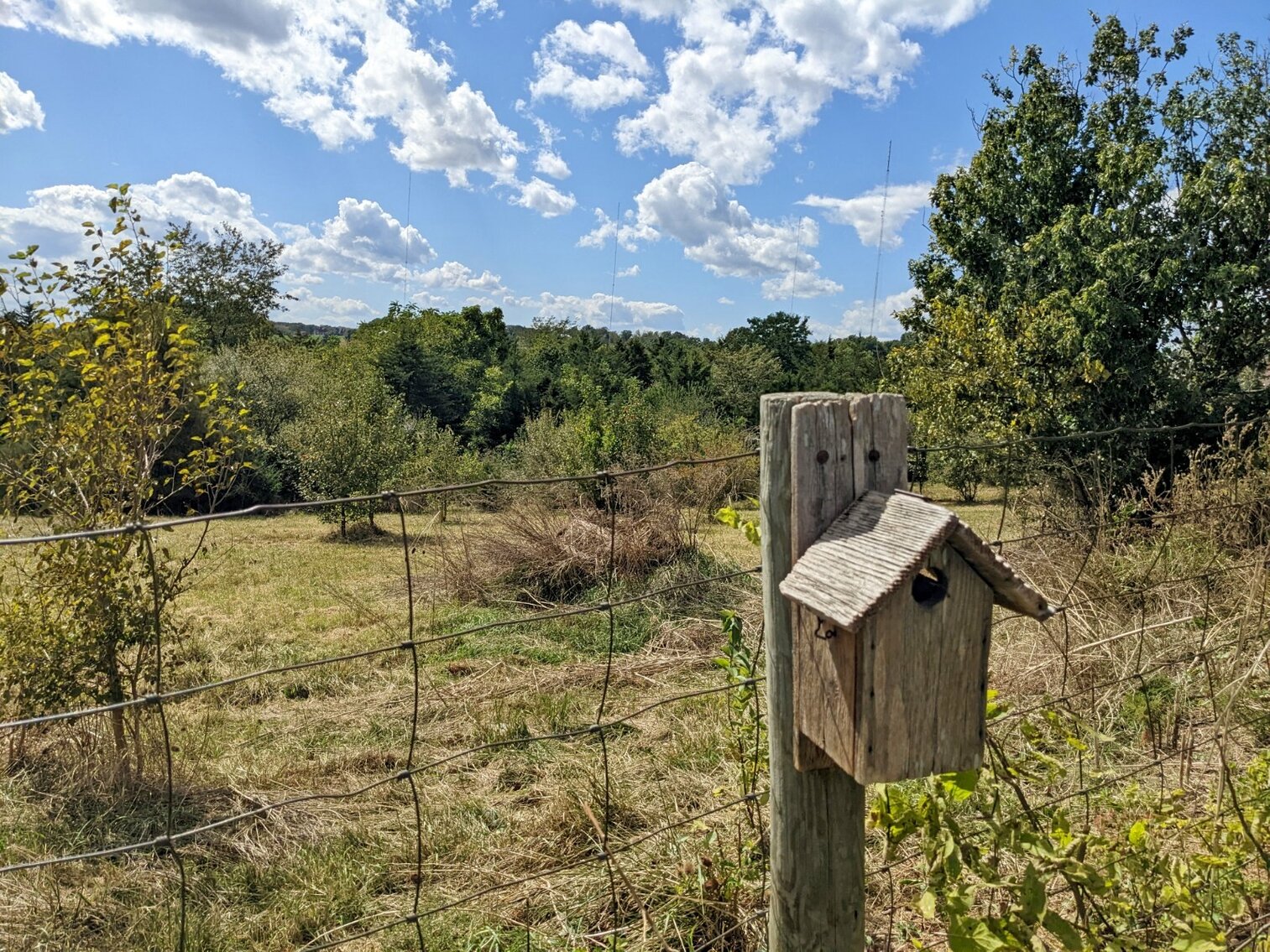 Image for Four Bedroom Home and 3.78 Acres of R1 Development Land In Harrisonburg VA