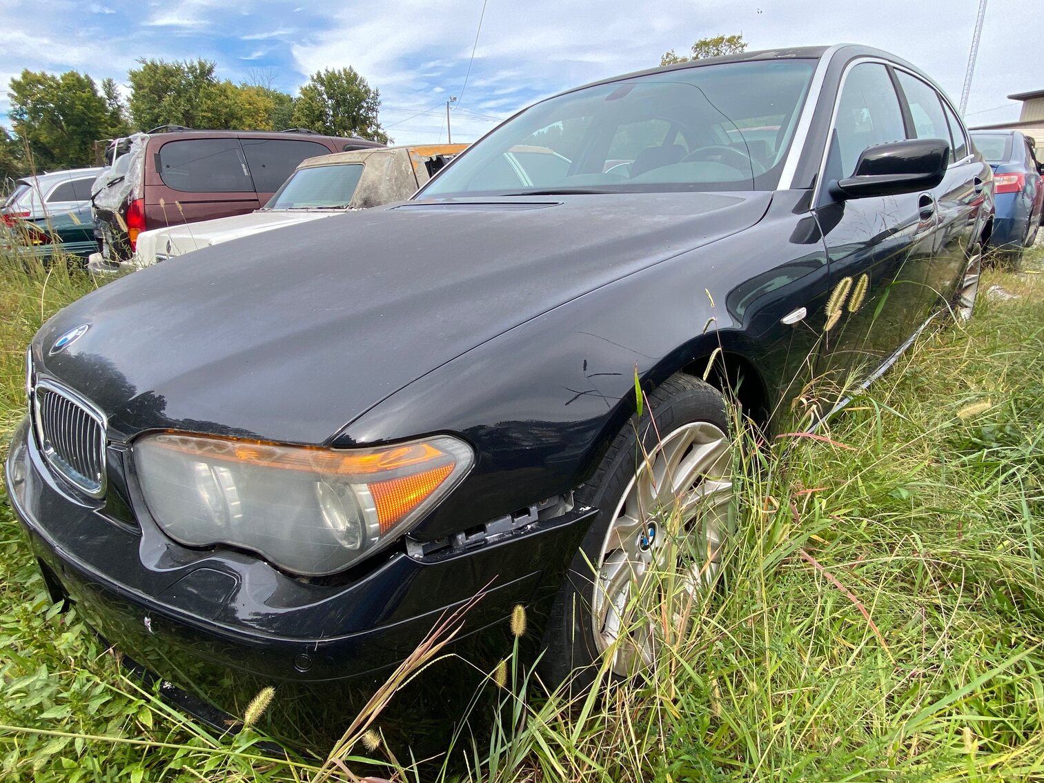 Image for Greensboro Impounds October 2022