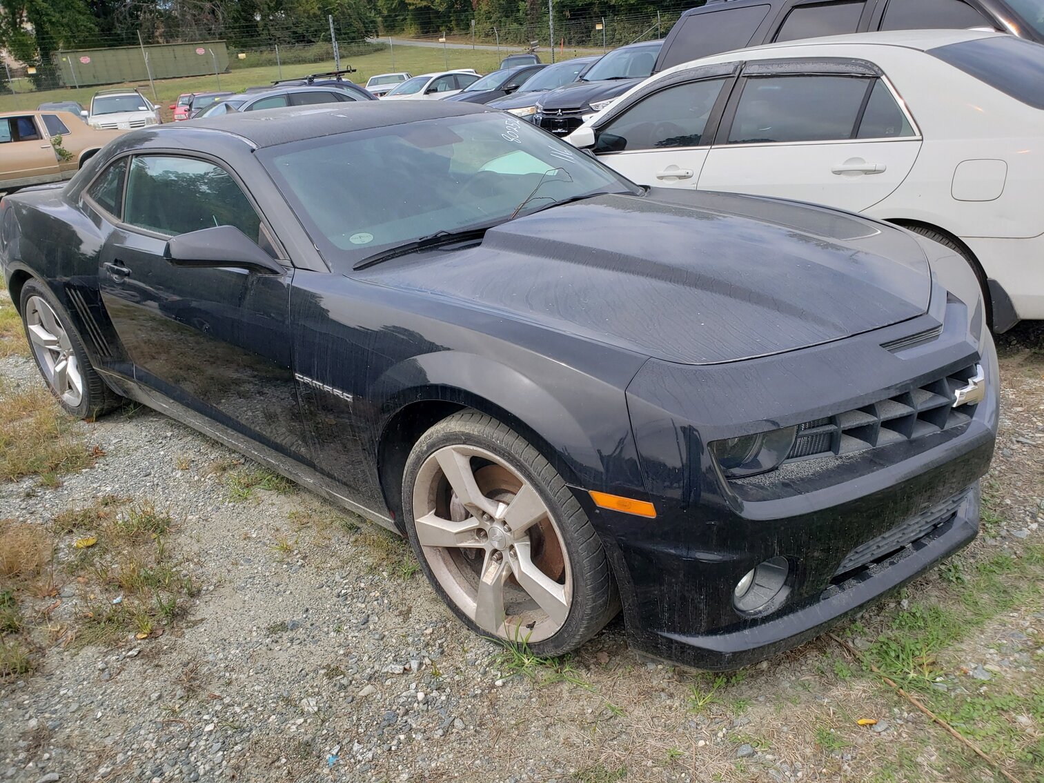 Image for Greensboro Impounds October 2022