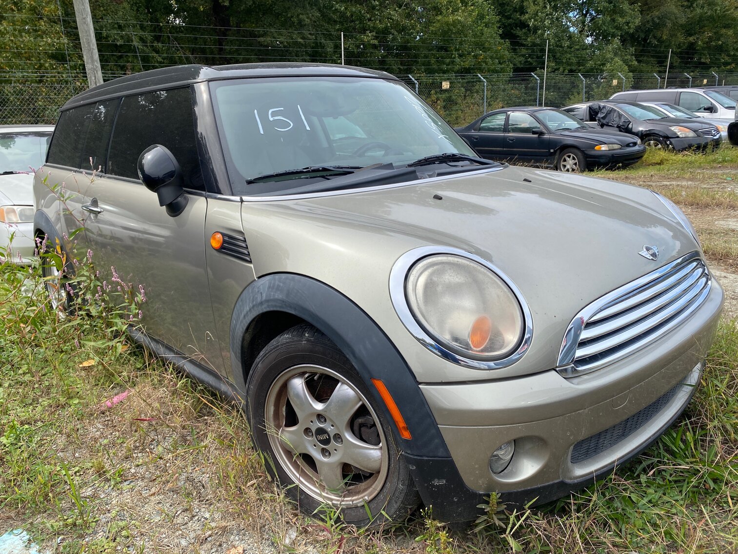 Image for Greensboro Impounds October 2022