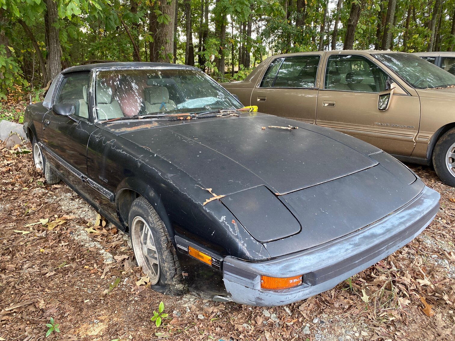 Image for Greensboro Impounds October 2022