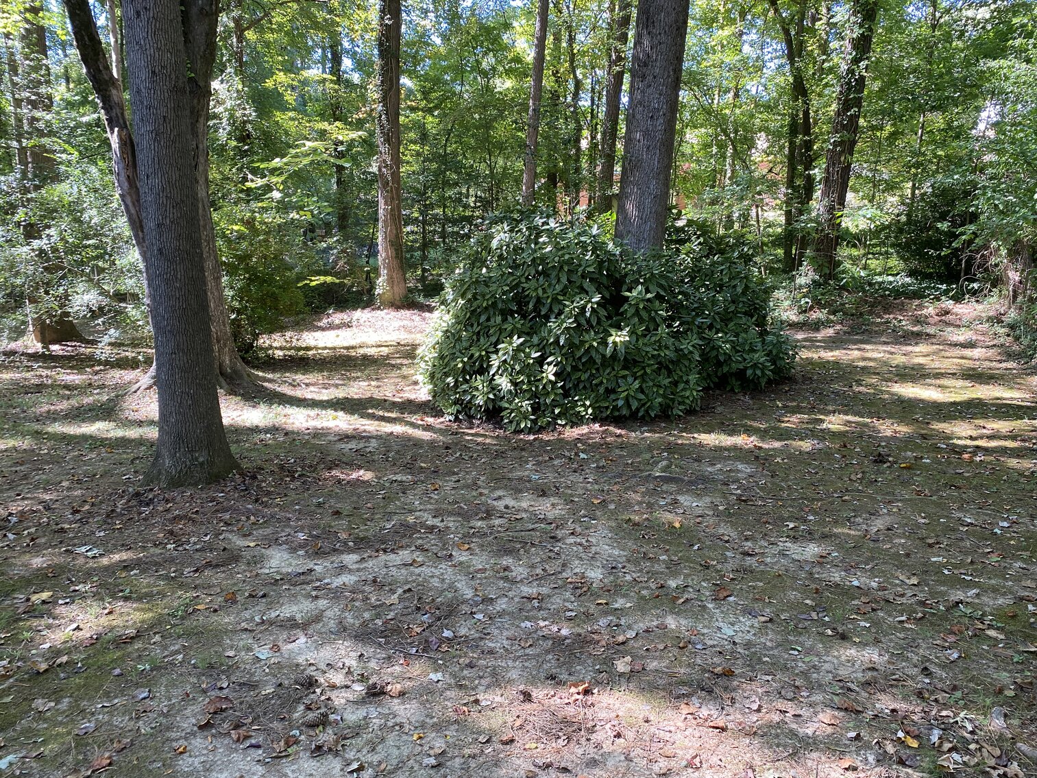 Image for 1330 Traway Drive Richmond VA (North Chesterfield)