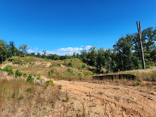 Image for 27.3 +/- Acres on Lake Lanier