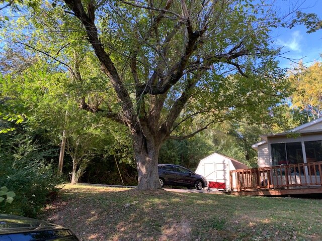 Image for Country Cottage on Cowan - Dickson