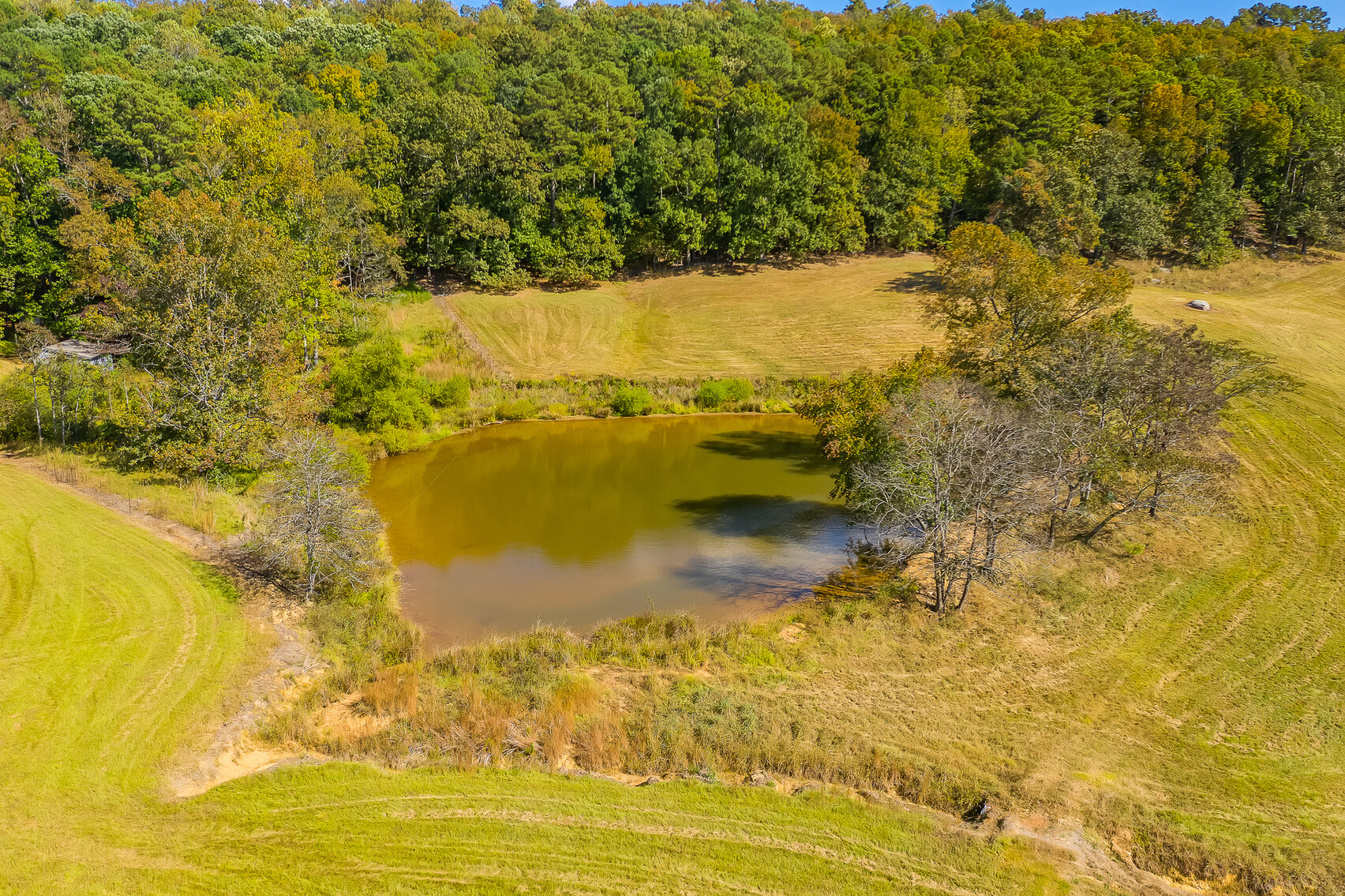 Image for 230 Acre Picturesque Farm - Birmingham, Alabama
