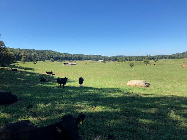 Image for 230 Acre Picturesque Farm - Birmingham, Alabama