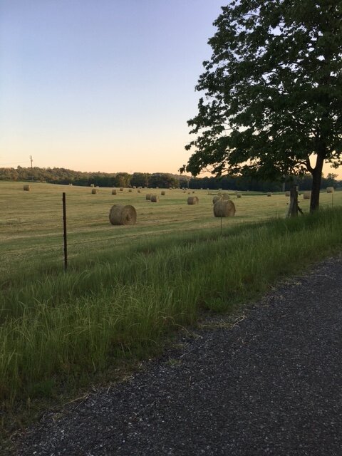 Image for 230 Acre Picturesque Farm - Birmingham, Alabama