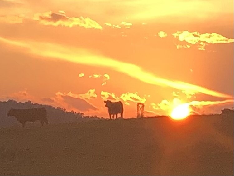 Image for 230 Acre Picturesque Farm - Birmingham, Alabama