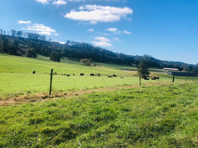 Image for 230 Acre Picturesque Farm - Birmingham, Alabama