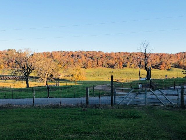 Image for 230 Acre Picturesque Farm - Birmingham, Alabama