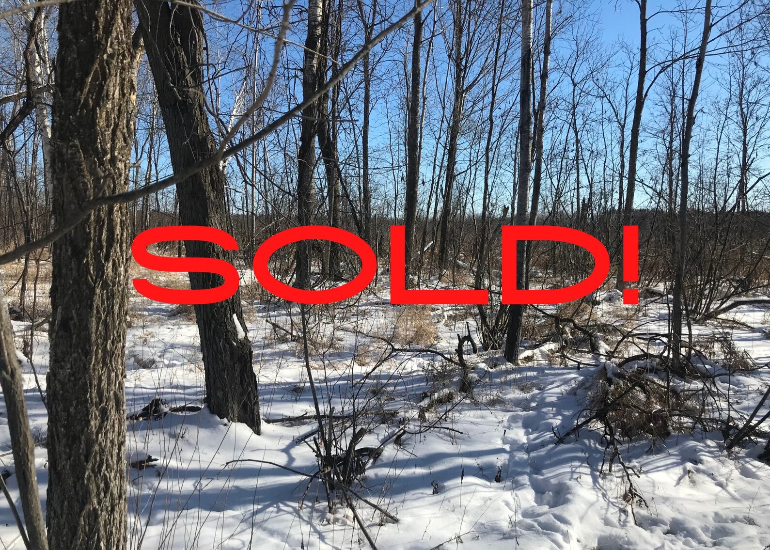Image for 40 Acre Prime Hunting Land