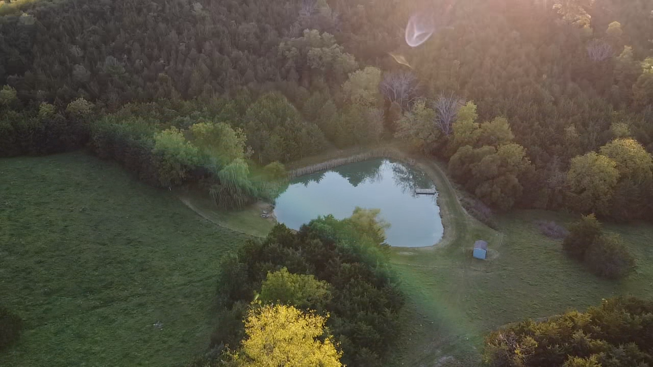 Image for 87 +/- Acres w/Pond, Pasture & Amazing Mountain Views--Augusta County, VA