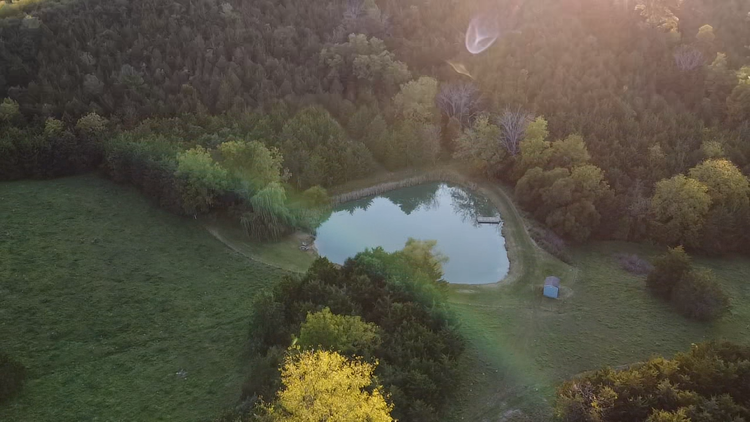 Image for 87 +/- Acres w/Pond, Pasture & Amazing Mountain Views--Augusta County, VA