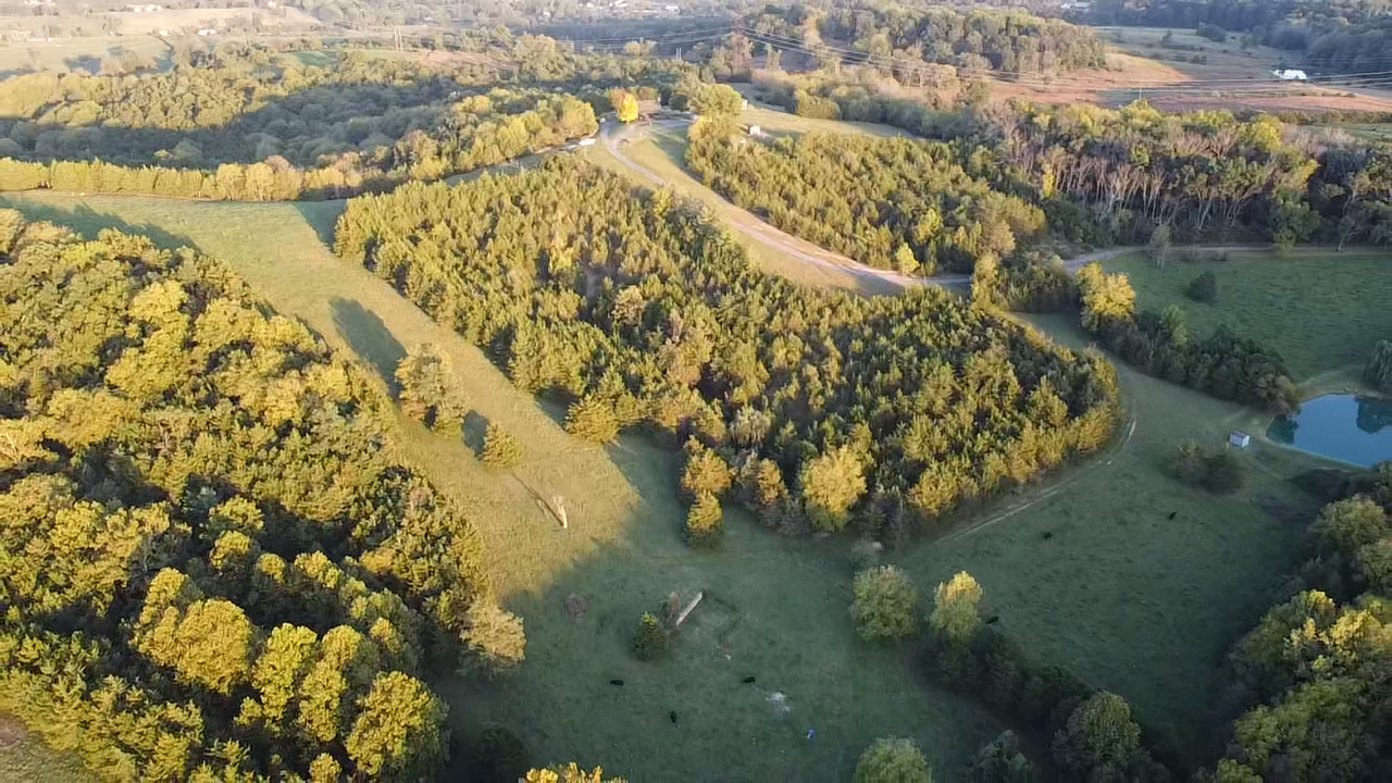 Image for 87 +/- Acres w/Pond, Pasture & Amazing Mountain Views--Augusta County, VA