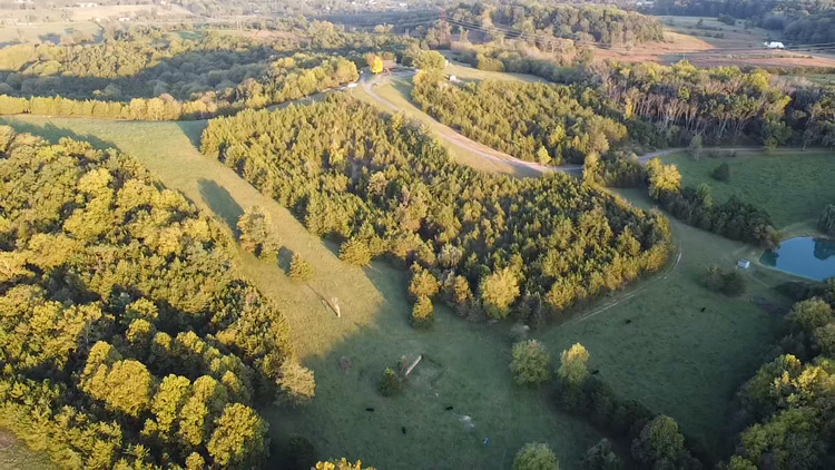 Image for 87 +/- Acres w/Pond, Pasture & Amazing Mountain Views--Augusta County, VA