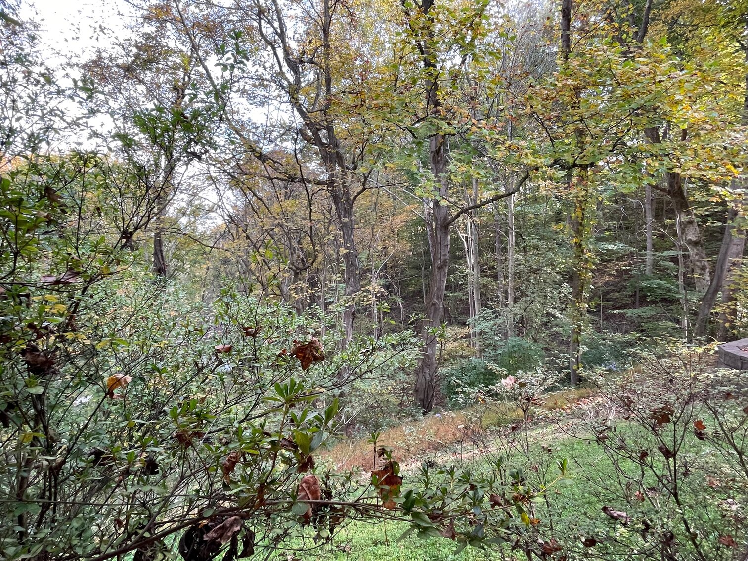 Image for SOLD $159,500 - Beautiful 4 Bedroom Brick Mid-Entry on 1.2 Acres