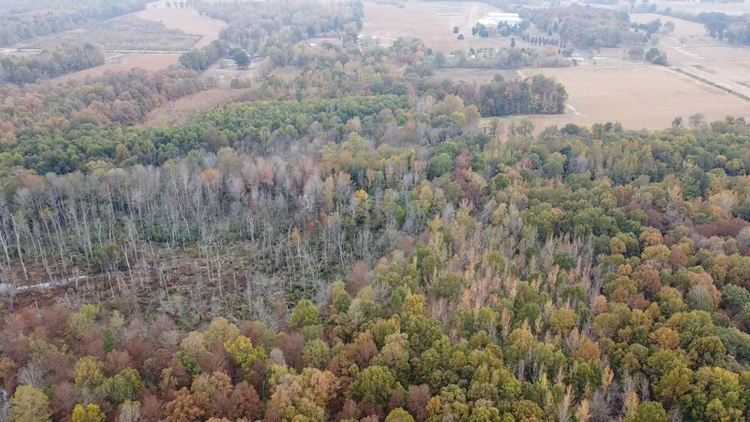 Image for ABSOLUTE AUCTION 693 WADESBORO ROAD PADUCAH, KY