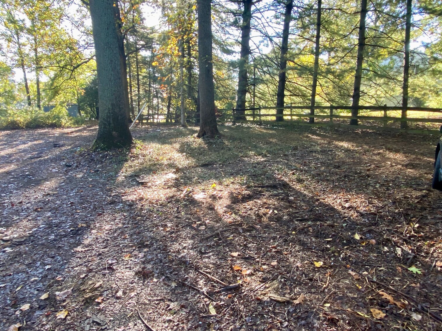 Image for 1 BR/1 BA Cottage on .5 +/- Acre Lot Minutes From the Dulles Corridor in Loudoun County, VA--SELLING to the HIGHEST BIDDER!!