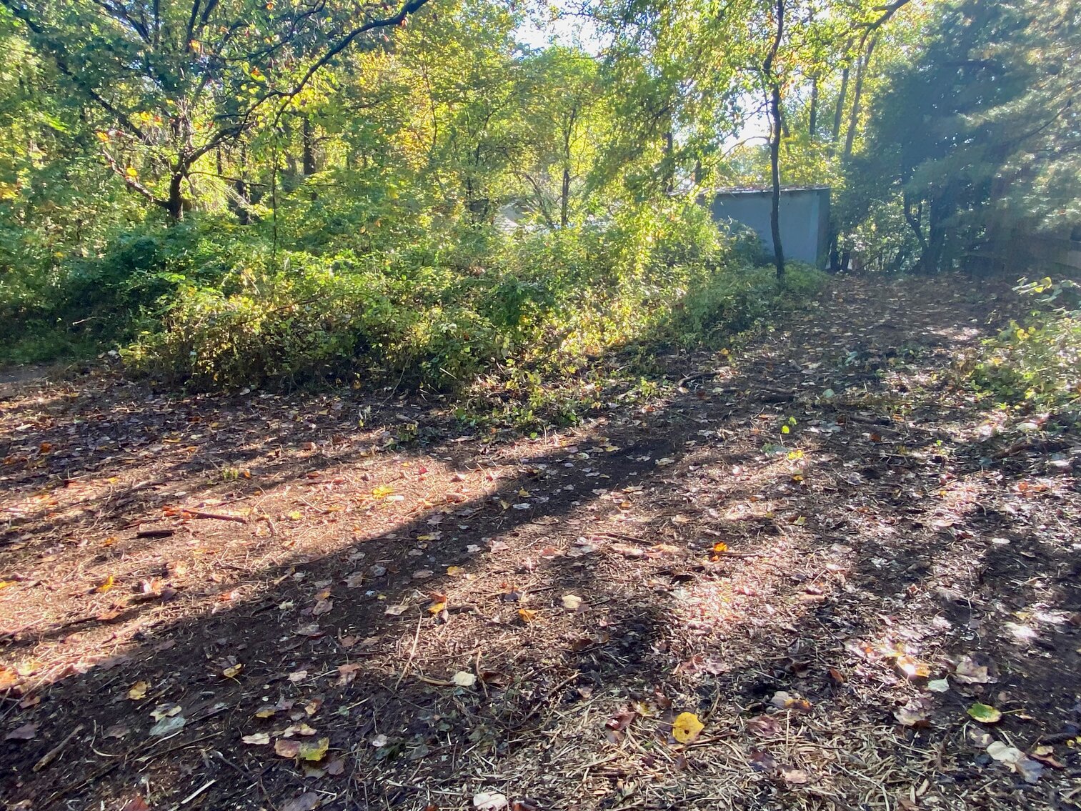 Image for 1 BR/1 BA Cottage on .5 +/- Acre Lot Minutes From the Dulles Corridor in Loudoun County, VA--SELLING to the HIGHEST BIDDER!!