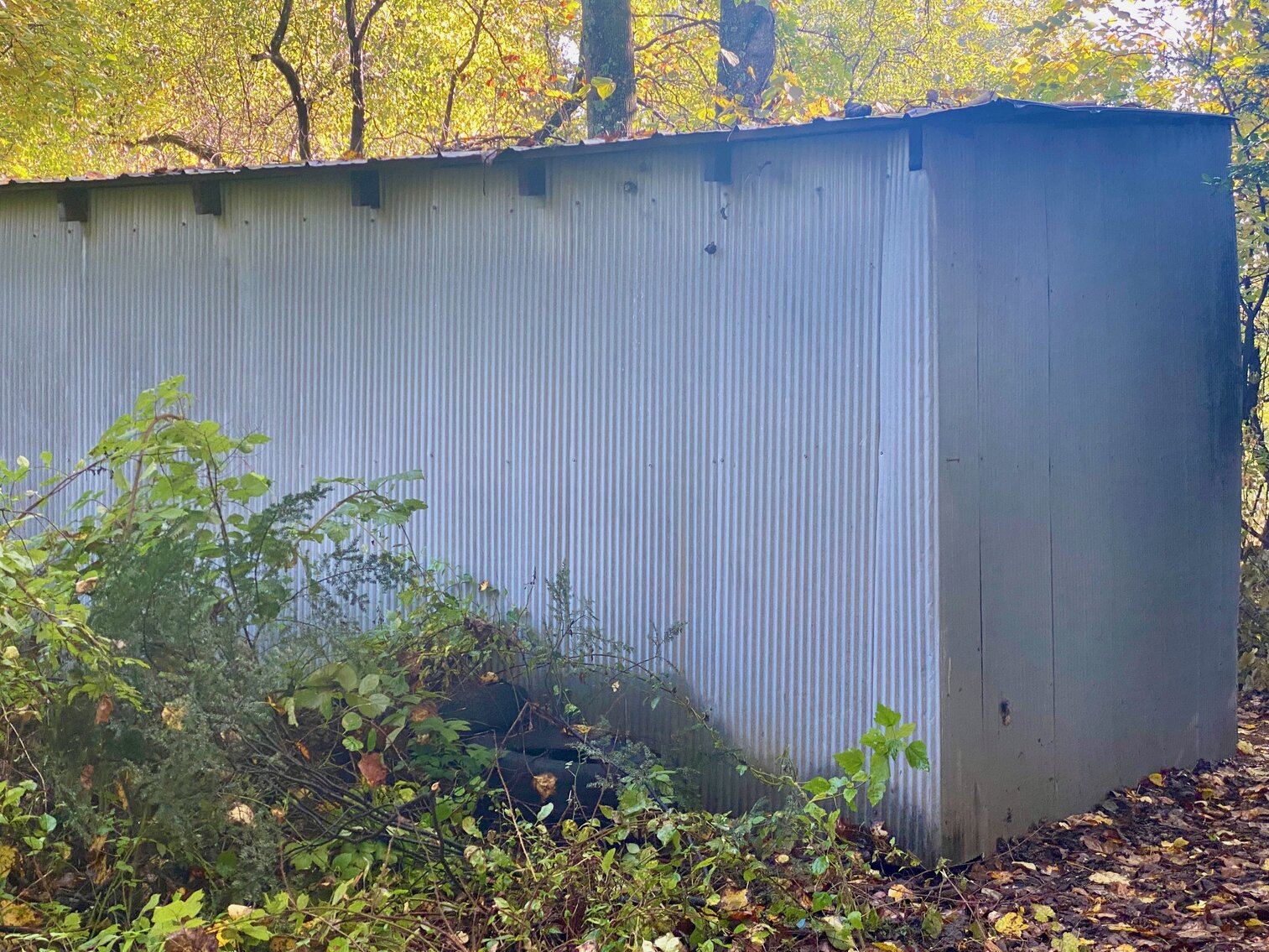 Image for 1 BR/1 BA Cottage on .5 +/- Acre Lot Minutes From the Dulles Corridor in Loudoun County, VA--SELLING to the HIGHEST BIDDER!!