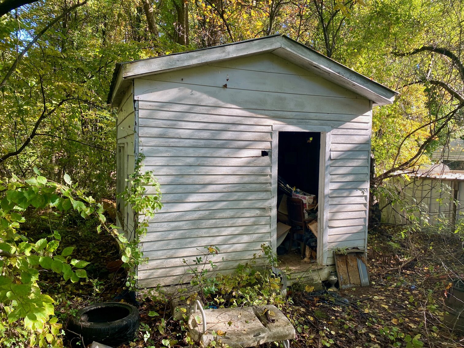 Image for 1 BR/1 BA Cottage on .5 +/- Acre Lot Minutes From the Dulles Corridor in Loudoun County, VA--SELLING to the HIGHEST BIDDER!!