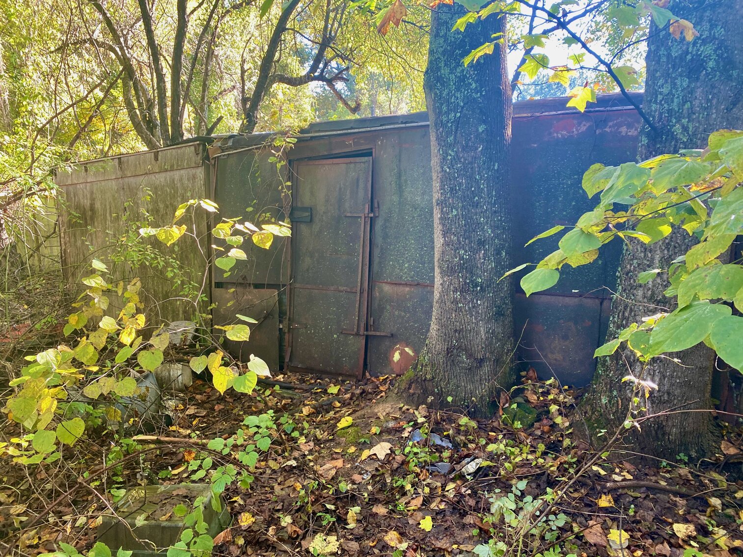 Image for 1 BR/1 BA Cottage on .5 +/- Acre Lot Minutes From the Dulles Corridor in Loudoun County, VA--SELLING to the HIGHEST BIDDER!!