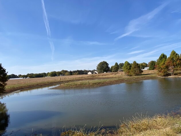 Image for ABSOLUTE AUCTION 4015 MAXON ROAD