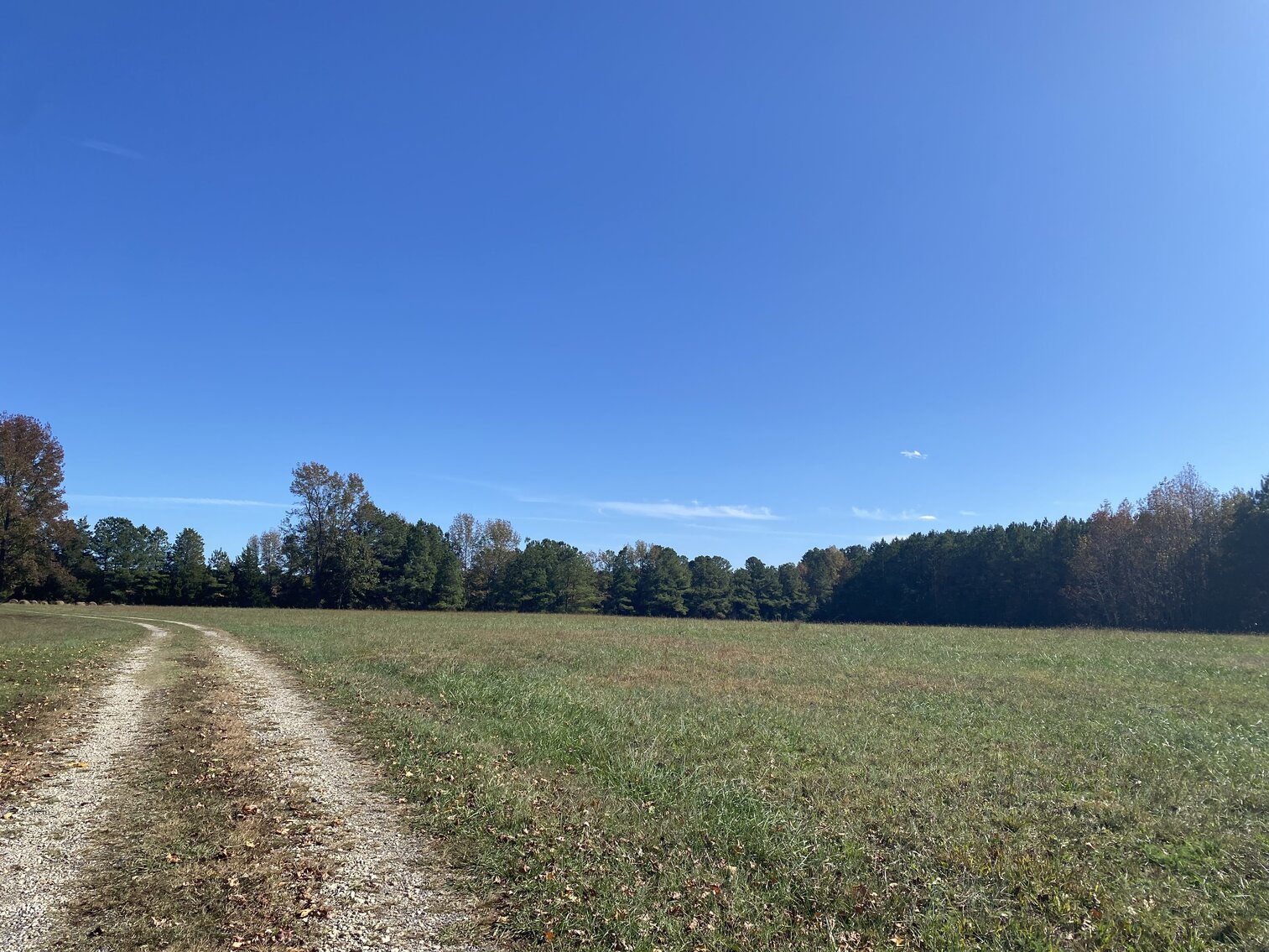 Image for Estate Auction - 78+/- Acre Historical Farm - Prince George Co. - 9615 East Quaker Rd. Disputanta VA 23842