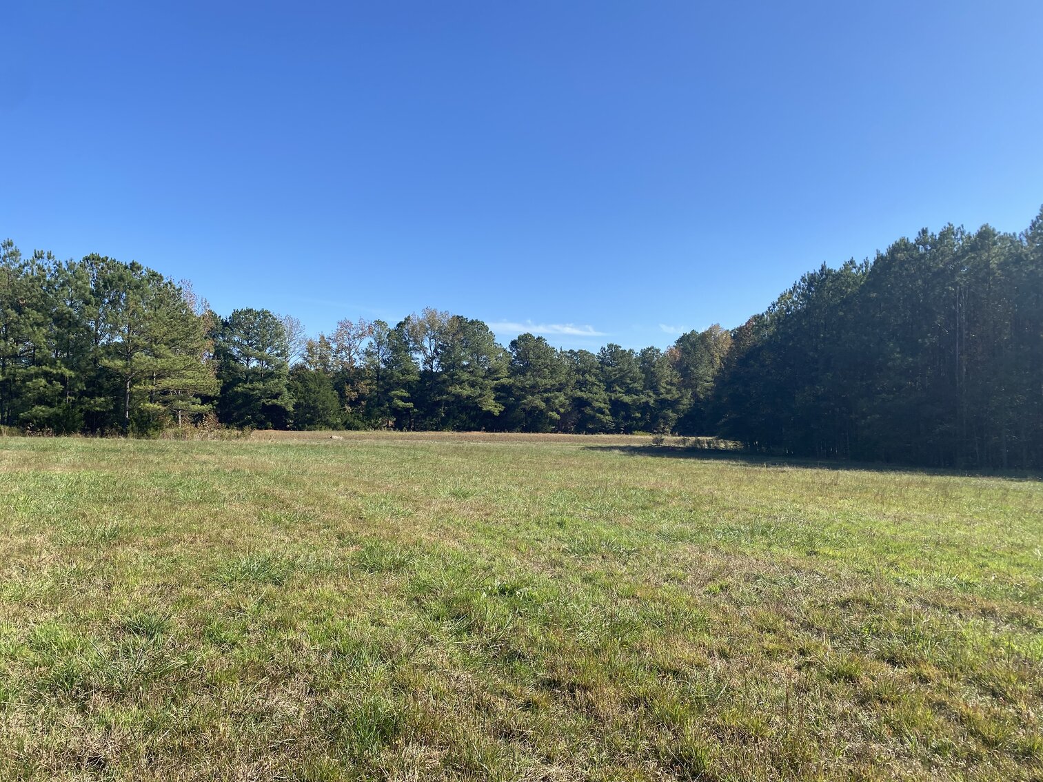 Image for Estate Auction - 78+/- Acre Historical Farm - Prince George Co. - 9615 East Quaker Rd. Disputanta VA 23842