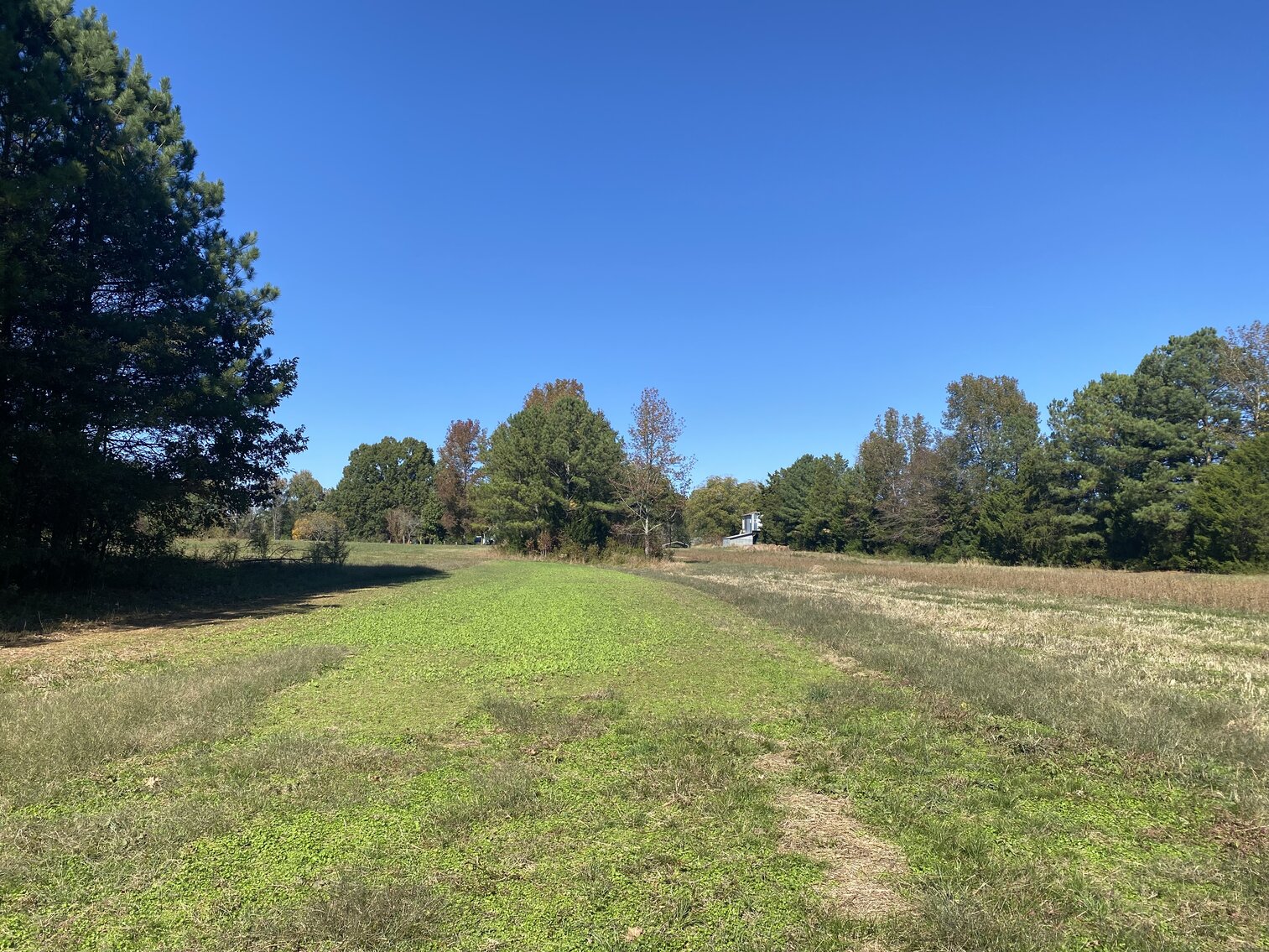 Image for Estate Auction - 78+/- Acre Historical Farm - Prince George Co. - 9615 East Quaker Rd. Disputanta VA 23842