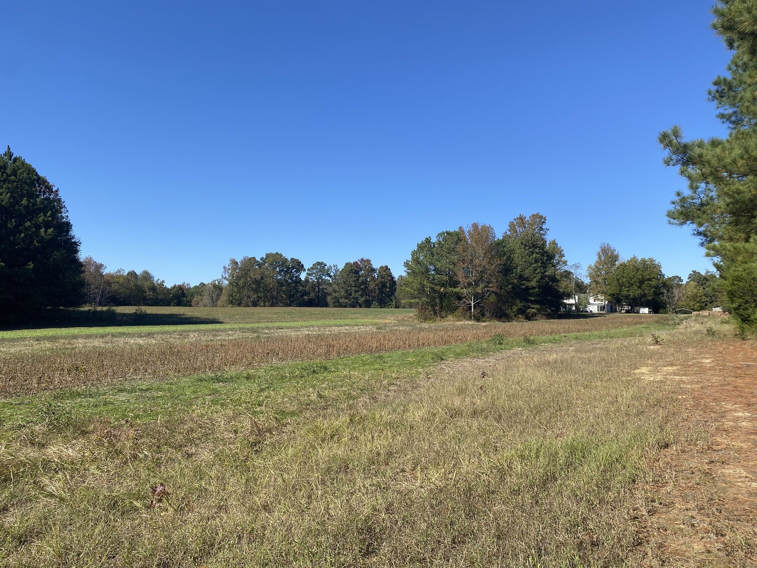 Image for Estate Auction - 78+/- Acre Historical Farm - Prince George Co. - 9615 East Quaker Rd. Disputanta VA 23842