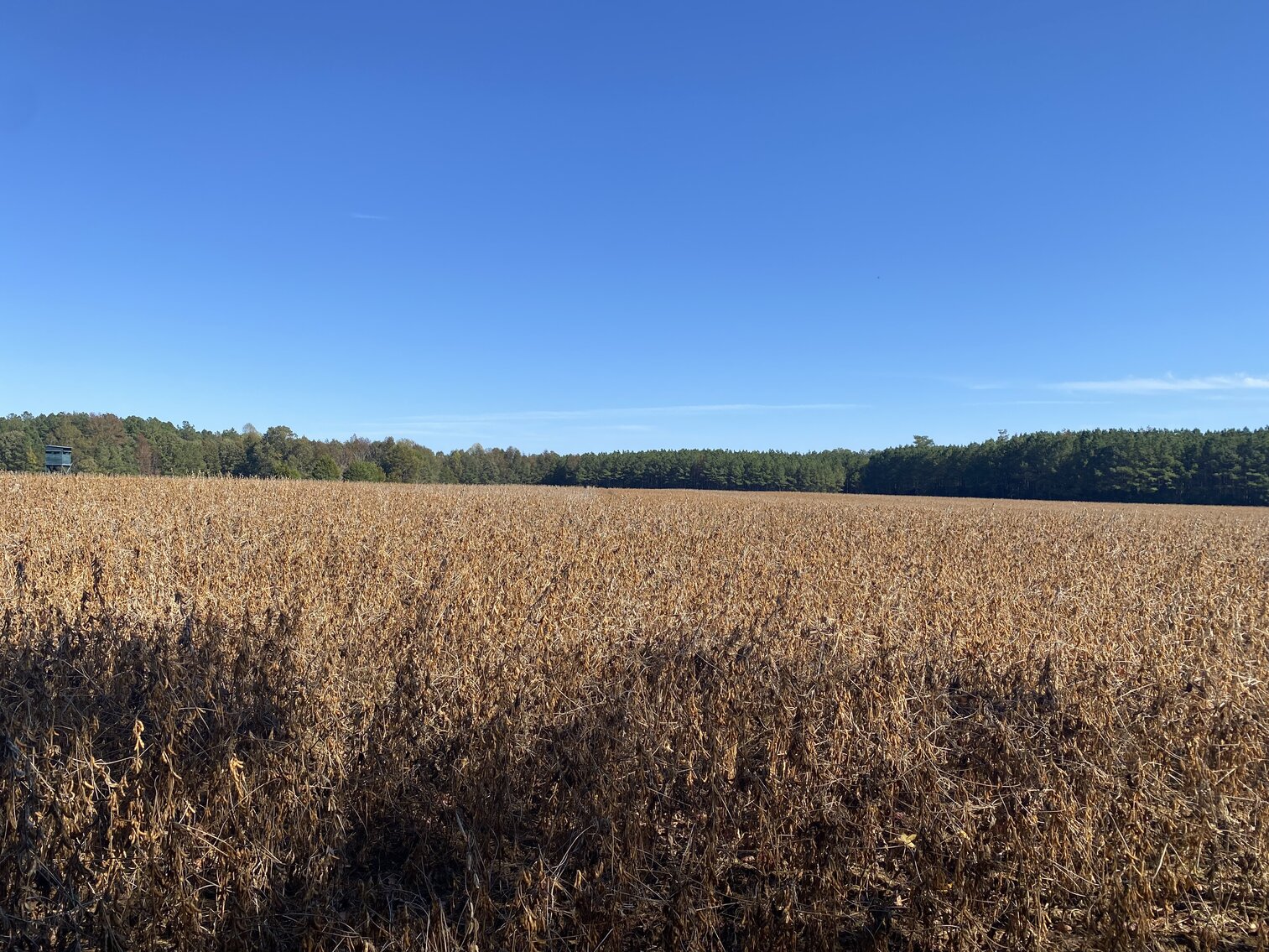 Image for Estate Auction - 78+/- Acre Historical Farm - Prince George Co. - 9615 East Quaker Rd. Disputanta VA 23842