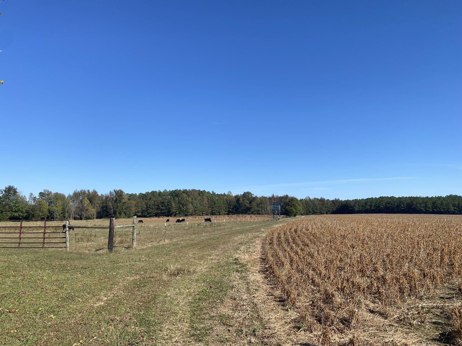 Image for Estate Auction - 78+/- Acre Historical Farm - Prince George Co. - 9615 East Quaker Rd. Disputanta VA 23842