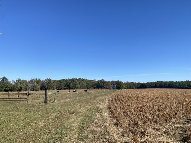 Image for Estate Auction - 78+/- Acre Historical Farm - Prince George Co. - 9615 East Quaker Rd. Disputanta VA 23842