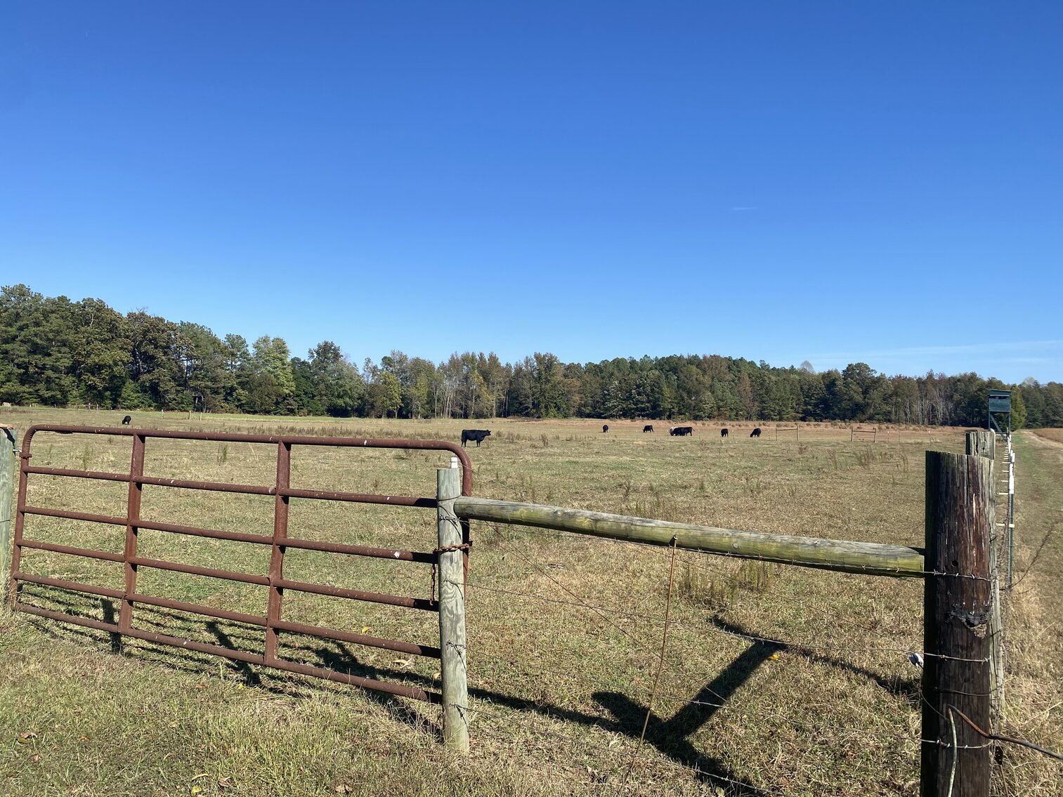 Image for Estate Auction - 78+/- Acre Historical Farm - Prince George Co. - 9615 East Quaker Rd. Disputanta VA 23842
