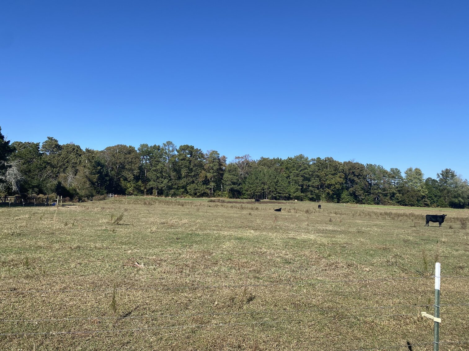Image for Estate Auction - 78+/- Acre Historical Farm - Prince George Co. - 9615 East Quaker Rd. Disputanta VA 23842
