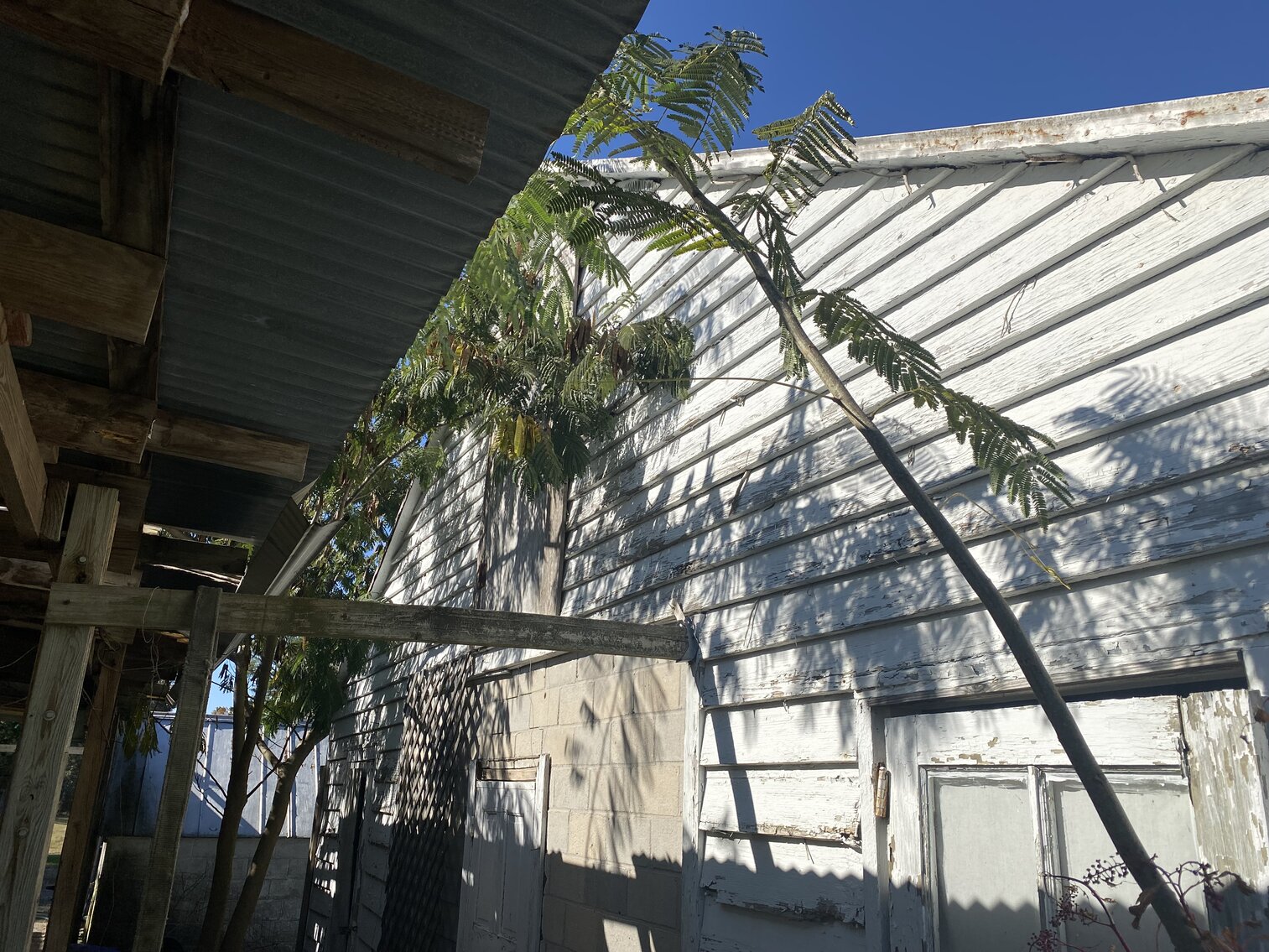 Image for Estate Auction - 78+/- Acre Historical Farm - Prince George Co. - 9615 East Quaker Rd. Disputanta VA 23842