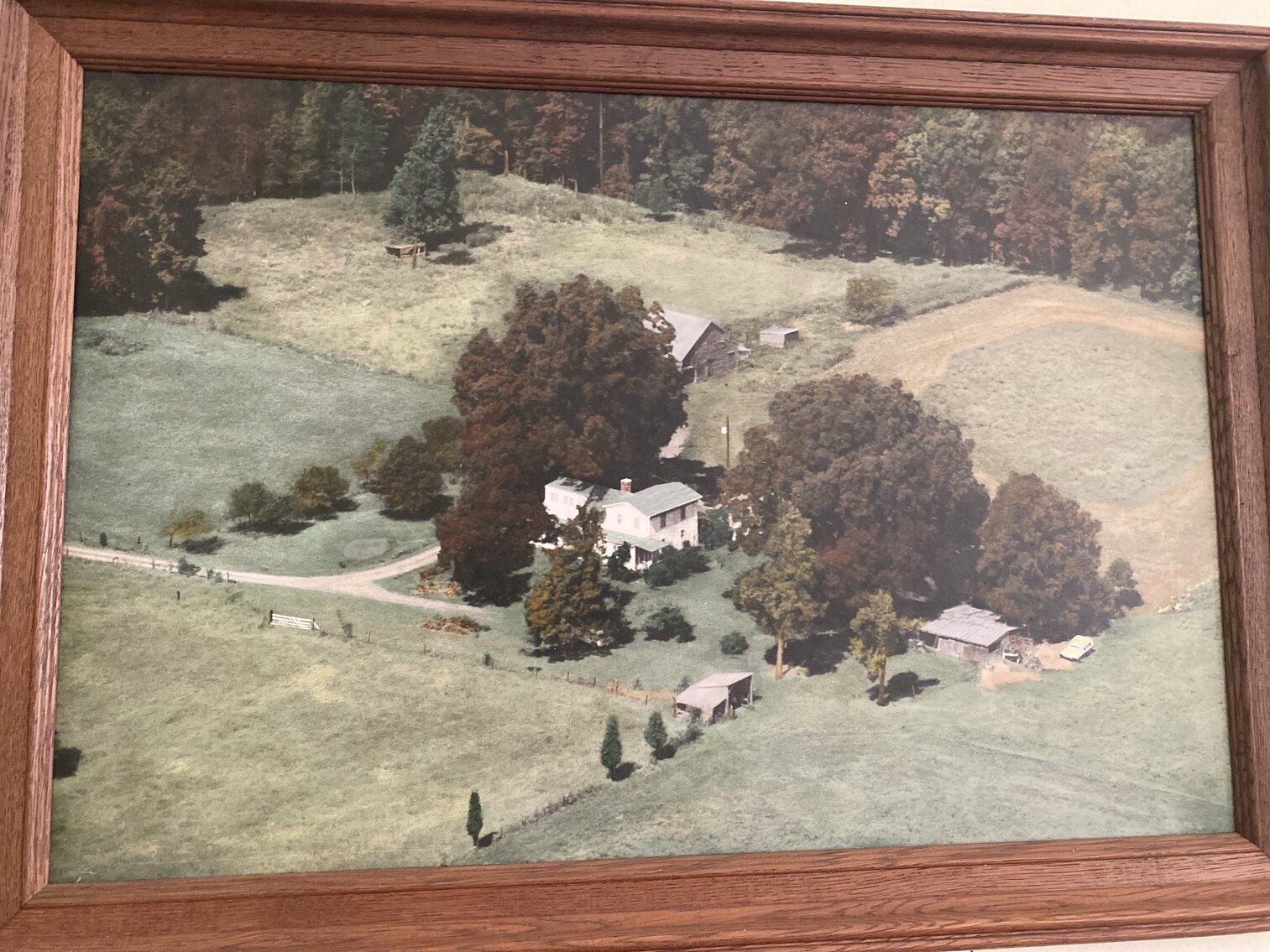 Image for Estate Auction - 78+/- Acre Historical Farm - Prince George Co. - 9615 East Quaker Rd. Disputanta VA 23842