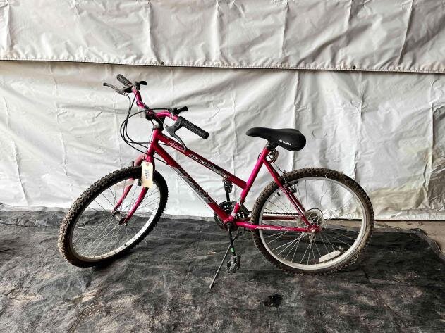 Morris Automotive Business & Personal Inventory Reduction