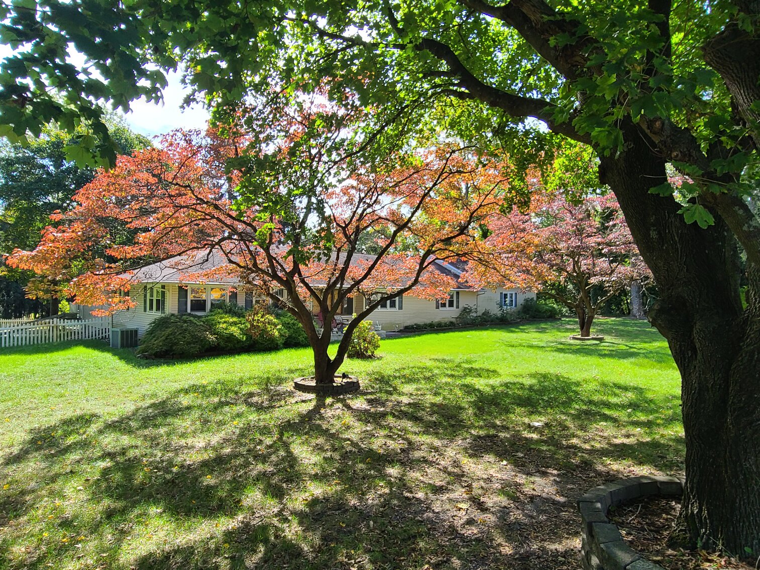 Image for Seller Ordered Online Auction - 3,630 +/- SF Ranch Style Dwelling on 1.42 +/- Acre Lot